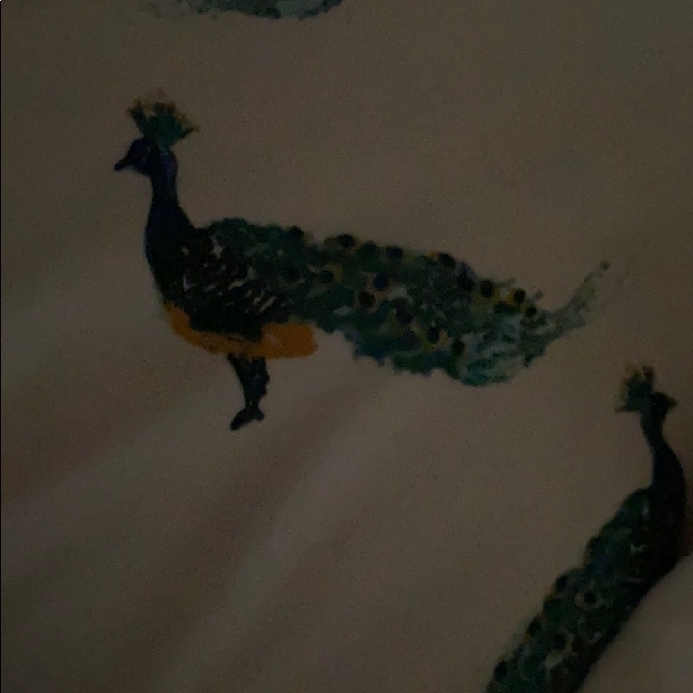 Meet your Posher, Steffanie